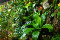 IMAG0463
