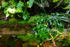 IMAG0464